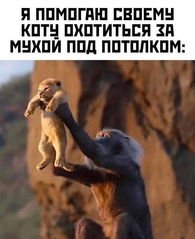 Так себе картинки 01.09.25