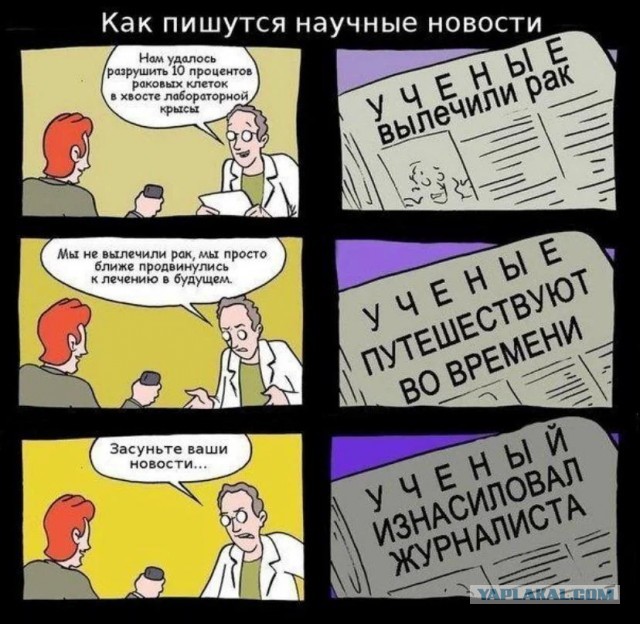 Российский депутат назвал женщин-водителей «силиконовыми тёлками с опилками в голове».