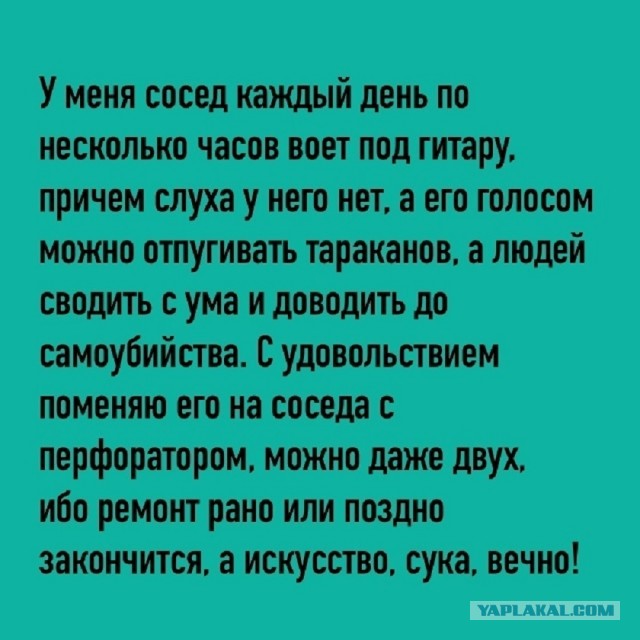 Так себе картинки 24.09.25