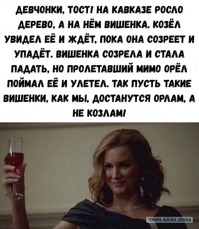 Картинки для деградации 51 (разной степени свежести)