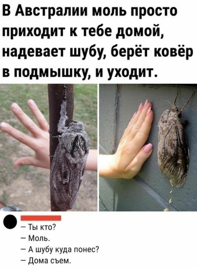 Куча мала