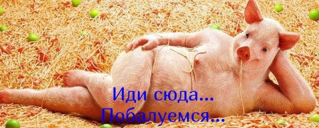 В Грозном откроют первую контактную ферму с уникальными животными