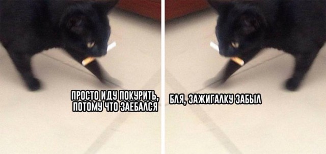 Дегронимикон