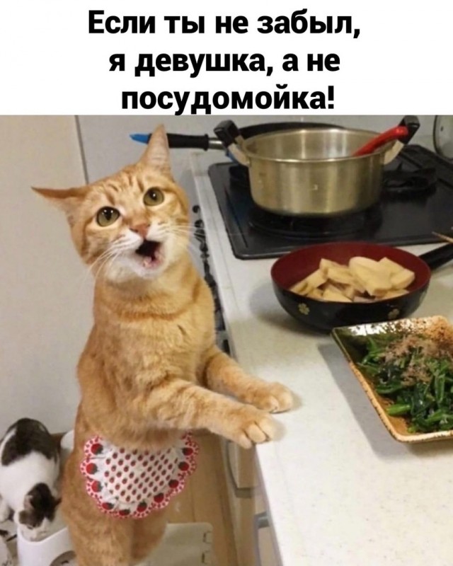 Так себе картинки 27.06.26