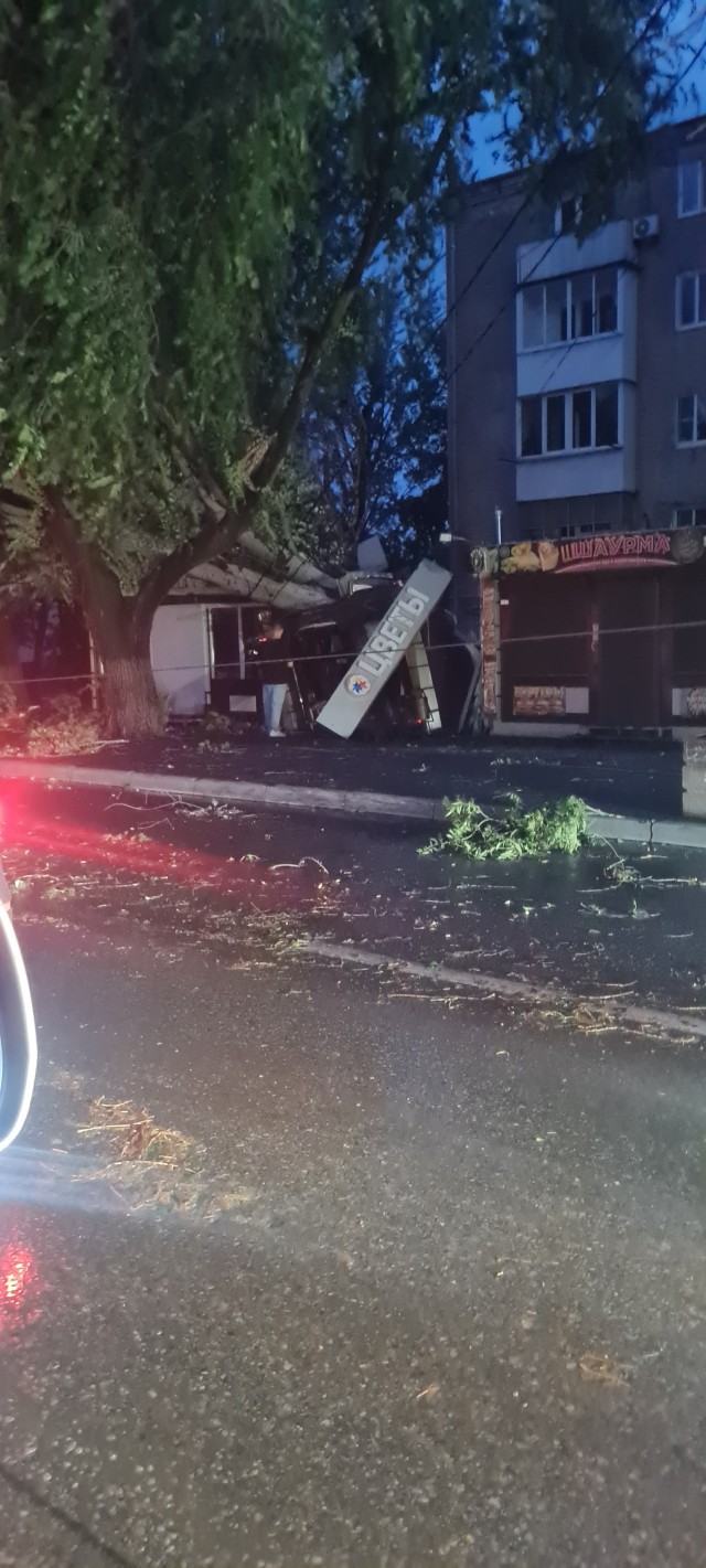 Просто одно дерево