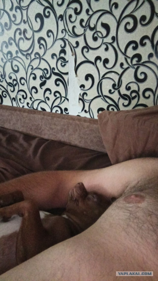 Рецепт домашней пасты