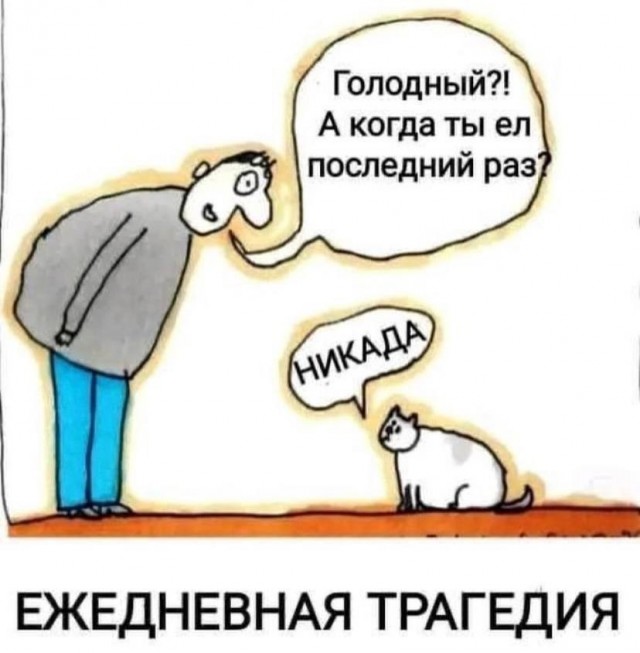 Что будешь дорогая?