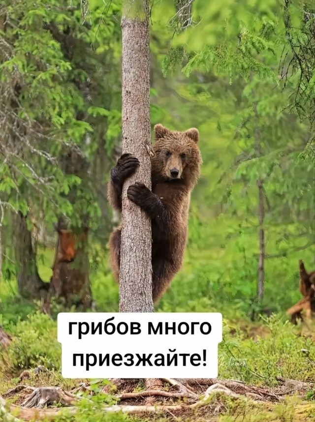 Так себе картинки 14.09.26