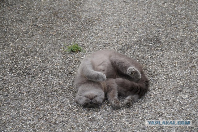 Поездка в Швейцарию