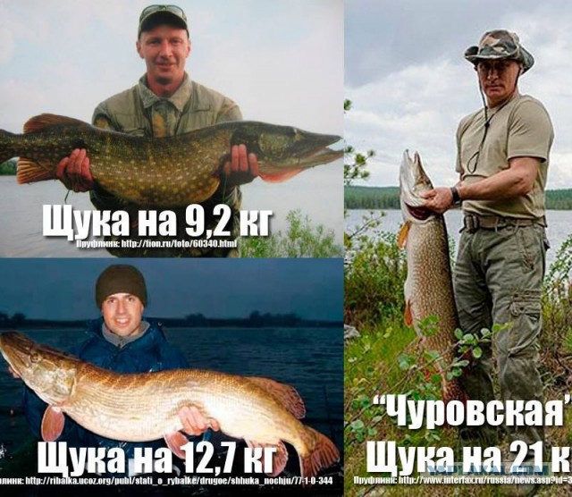 Один год жизни эминранта с России в США