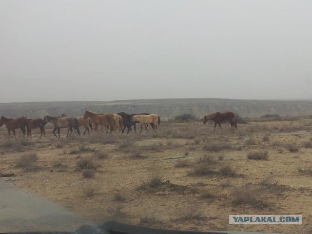Путешествие в Восточный Аккар