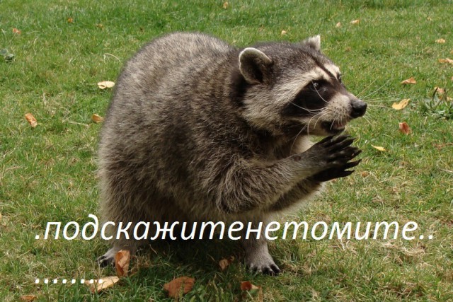 Нужен рецепт настойки?