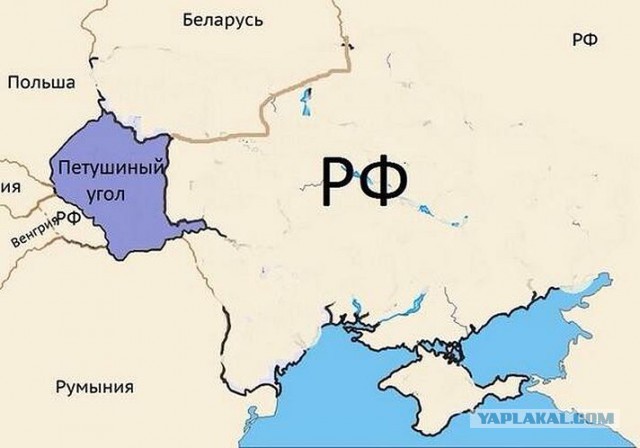 Обращение народа ДНР и ЛНР к мировому сообществу