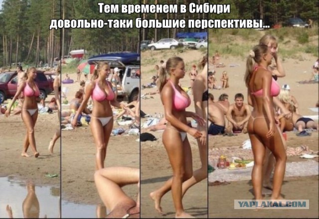 Забавные картинки и комменты из соцсети