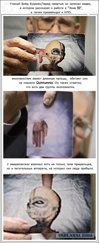 А они всё-таки есть...