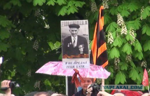 — Я не предал тебя, батя!