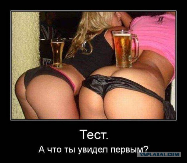 41 веселая картинка