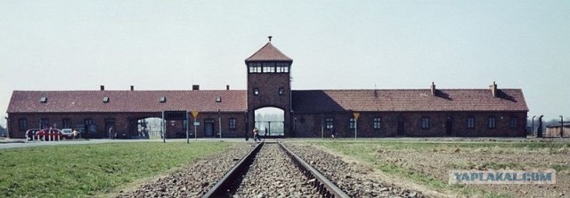 Гуси, гуси, га-га-га