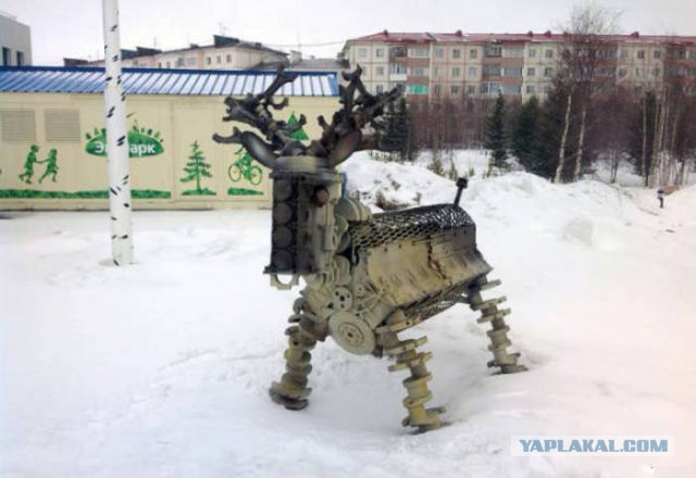Подборка прикольных фото из сети