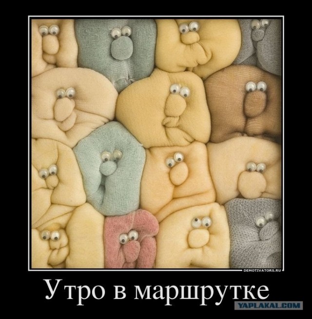 Талант водителя автобуса
