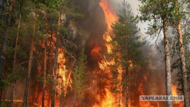 Лесные пожары в Бурятии продолжаются