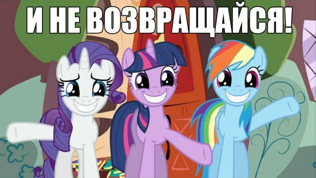 Сбежали в Украину, сердешные..