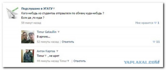 Смешные комментарии из социальных сетей