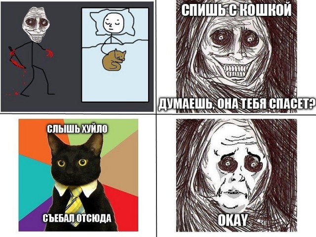 О кошках и их верноподданных