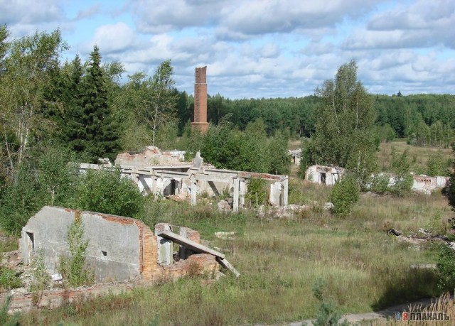 S.t.a.l.k.e.r - СТАЛКЕР