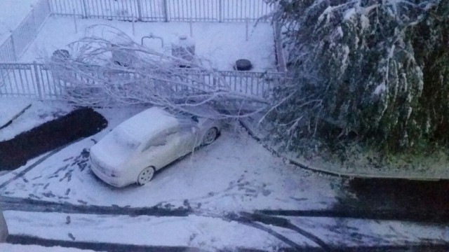 Погода в Омске