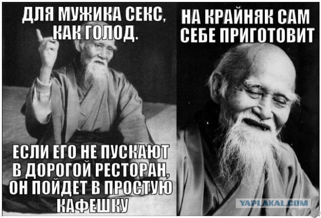 Забавные шутки, фразы и комментарии из этих ваших интернетов