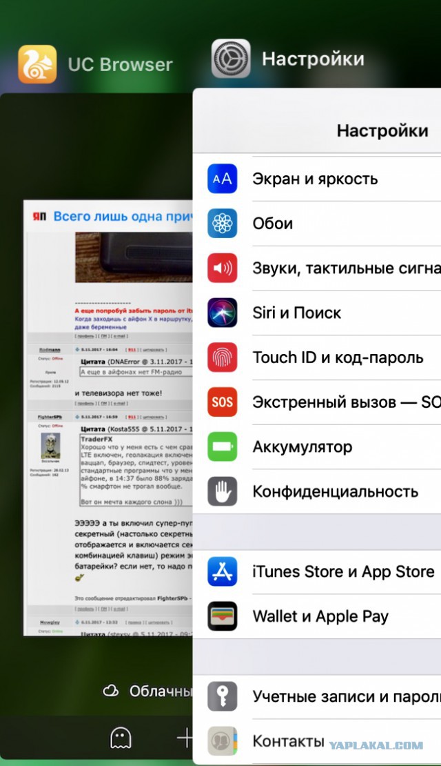 Всего лишь одна причина!