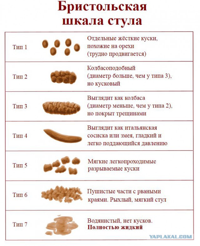 Фекальный тесак