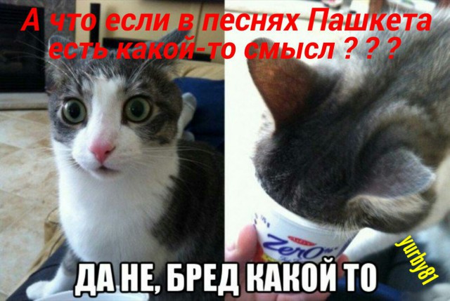 Комментаторы ЯПа