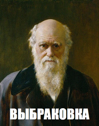 Так вот зачем они в туалеты толпами ходят...