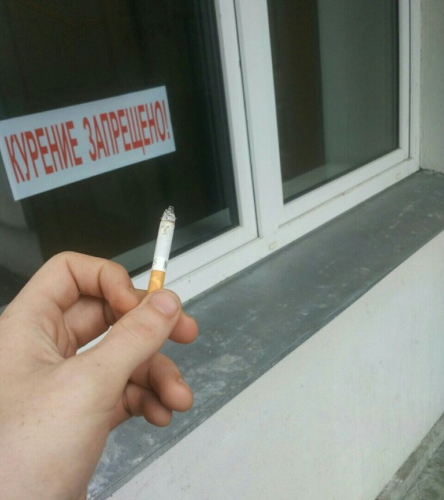 Выловлено в наших сетях