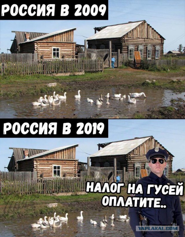 Госдума одобрила закон о налоге на весельные лодки