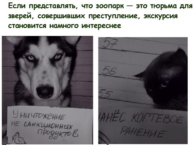Анекдоты, истории и картинки с надписями