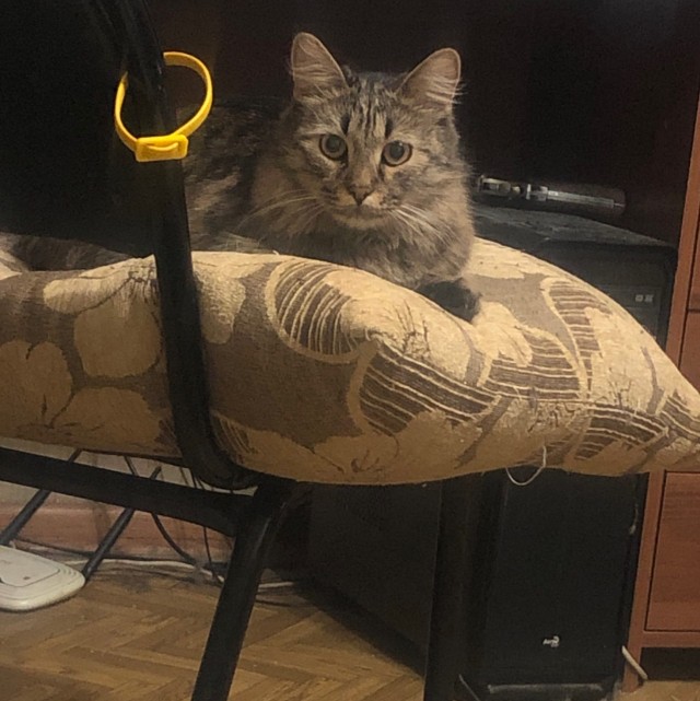 Котофеев пост