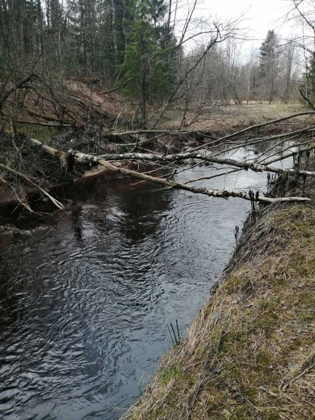 Откровение плохого папы