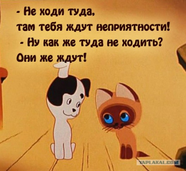 Эффект Манделы - гримасы памяти или эхо параллельной Вселенной