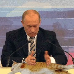 Я знал прикуп! Я в Сочи!