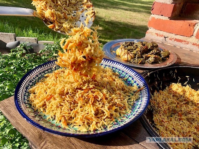 Пятничный пловосрач. Плов товук.