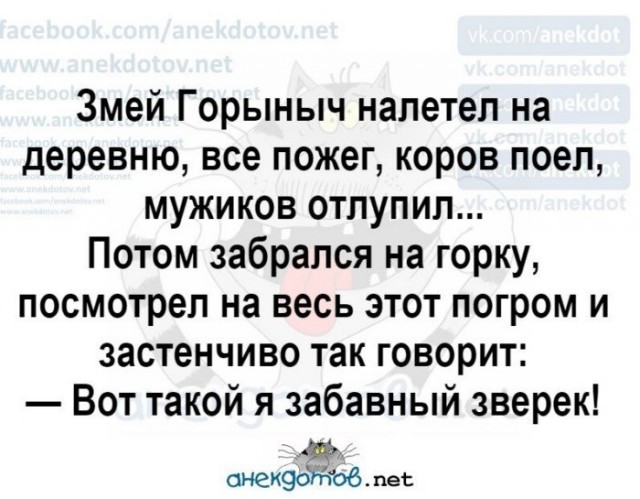 Прикольные и просто красивые картинки 05.11.2020