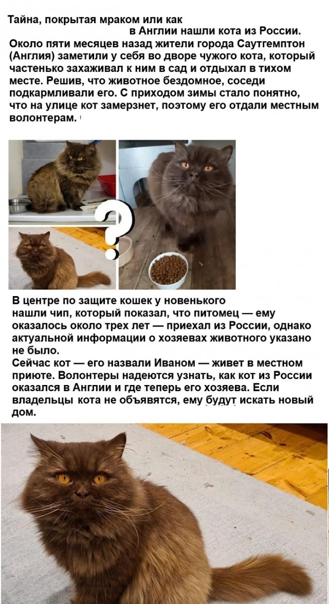 Картинки с надписями и всякие жизненные фразы 12.12.20