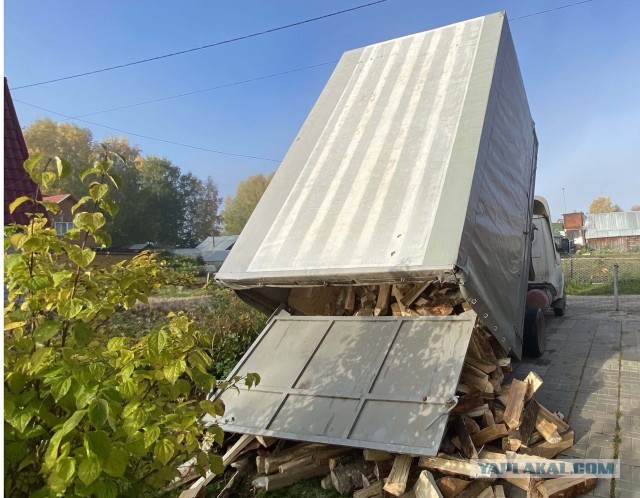 Стероидная газель