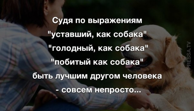 Картинки и мемы для настроения 018