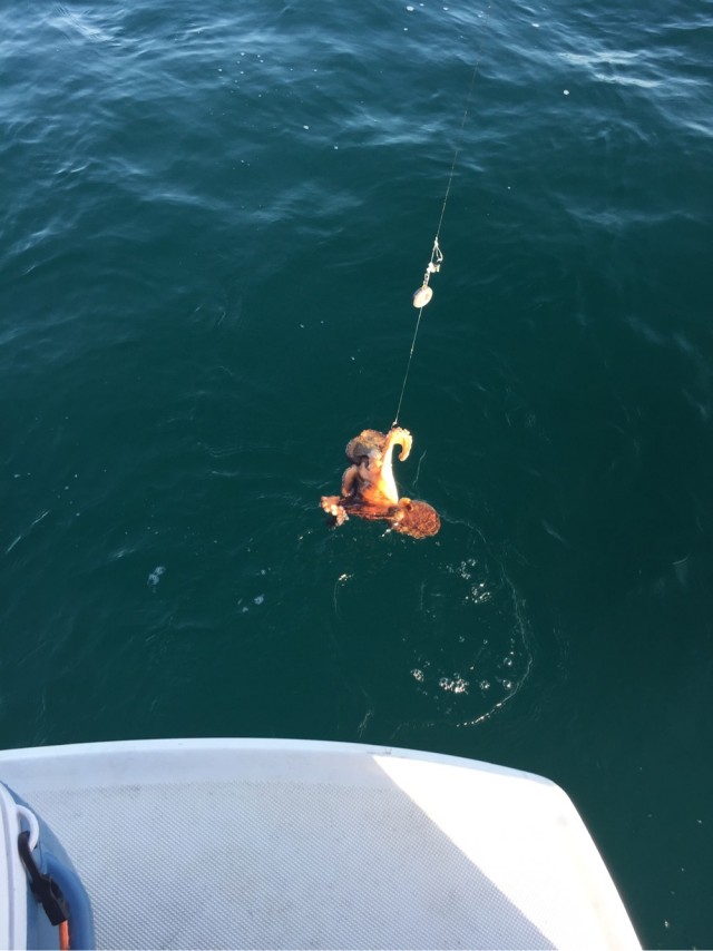 Америка изнутри: 6 вещей, о которых молчат