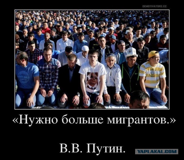 Водитель без прав въехал в толпу студентов в Москве