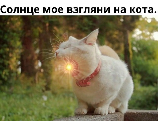 Так себе картинки 24.05.21